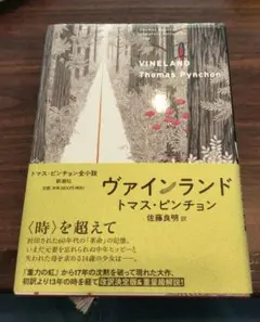 2025年最新】トマス・ピンチョン全小説 ヴァインランドの人気