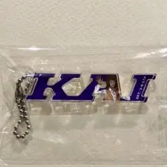 甲斐裕次郎　テニプリスト　ネームキーホルダー　アクリルキーホルダー