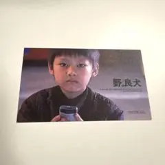 映画 野。良犬 来場特典カード