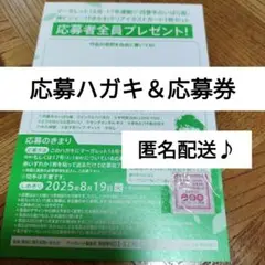 四畳半のいばら姫 8 全プレ 応募券付き応募ハガキ