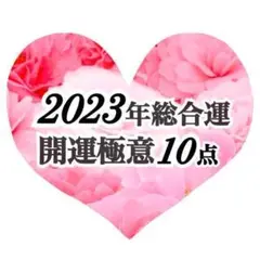 2023年あなたの総合運♥︎ボリューム鑑定♥︎霊視霊感タロット占い 仕事結婚恋愛