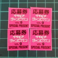 グラビアチャンピオン vol.9 チェキ プレゼント 応募券 4枚