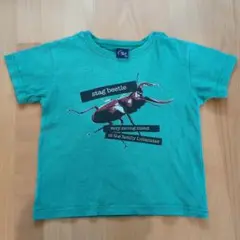 カブトムシプリント Tシャツ 100cm