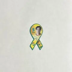 ジェフ千葉 シークレットプチリボンマグネット 小林裕介