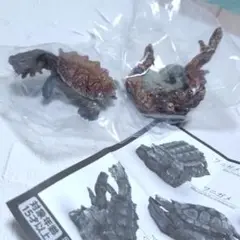 マタマタ ガチャガチャ いきもの大図鑑