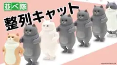 並べ隊　整列キャット　全4種　コンプリート