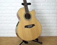 Ibanez AEL4512SE-NT-3T-01【 新品弦3セット付き】 317JCHgW5SL._UF350,350_QL80_.jpg