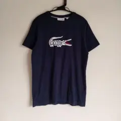 LACOSTE ラコステ ネイビー Tシャツ ビッグロゴ ワニ