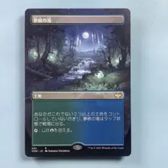 夢根の滝/Dreamroot Cascade VOWボーダレス日本語