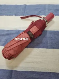 Item thumbnail for item b2d3deb8-9ae8-46e0-b2bc-02f86ff05f79