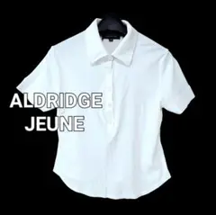 ALDRIDGE JEUNE ポロシャツ プルオーバー 半袖 シンプル ホワイト