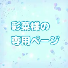 専用ページ