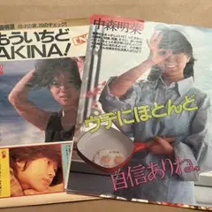 中森明菜　雑誌切り抜き10