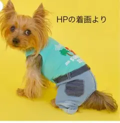 Item thumbnail for item 892410be-7e0e-4245-84eb-cc42004b3b5d