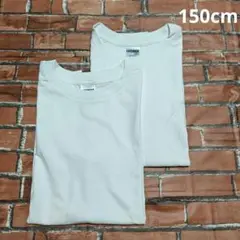 キッズ　白　ホワイト　綿100%　半袖　Tシャツ 2枚セット