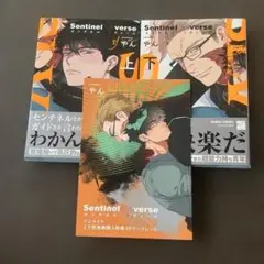 センチネルラヴァーズ 上/ 下