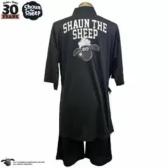 Item thumbnail for item 45136e9d-a0a7-4380-8c70-7b3c3c7a07d2