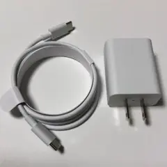 Google 純正 付属充電器