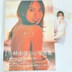 小林由依 2nd写真集 ポストカード付き