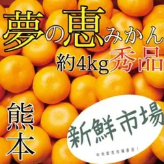 夢の恵みかん 赤秀品 S/M/Lサイズ 約4キロ中央卸売市場より直送!