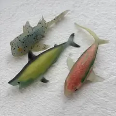 シャークアタックアンドコ 3点セット