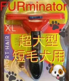 Item thumbnail for item f029d20a-f281-4af4-83ce-8a8064038e9e