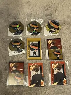 家庭教師ヒットマンREBORN 沢田綱吉リボーン缶バッチイラストカードセット
