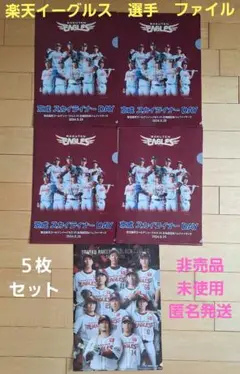 未使用送料込■プロ野球　楽天イーグルス　選手 応援　ファイル 5枚■