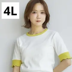 しまむら　田中里奈　フリル　テレコ配色Tシャツ　4L 2枚セット