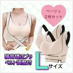 Item thumbnail for item a5beab18-420a-4c1b-8324-446bf0a1767c