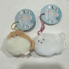 つぶらな瞳の犬と猫　ぷちマスコットBC ぽめらにあん　ポメラニアン