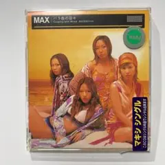 MAX/バラ色の日々