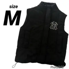 Item thumbnail for item 0c9168b1-f462-4327-988b-65c7af6d34f0