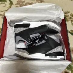 Nike Air Jordan 3 Retro "Black Cement"