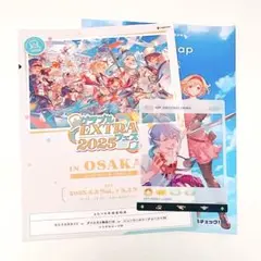 グラブルEXTRAフェス2025 リーフレット　大阪　グリームニル コード未使用