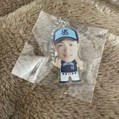 東京ヤクルトスワローズ ガチャガチャ アクリルキーホルダー 宮本丈