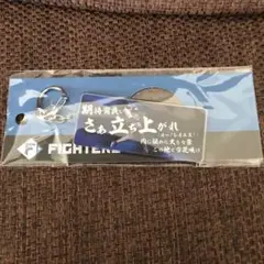 【新品】ファイターズ　応援歌キーホルダー　99 レイエス