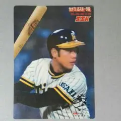 阪神タイガース　田渕幸一捕手　サイン色紙 2025年最新】阪神 田渕の人気アイテム - メルカリ