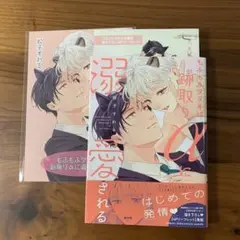 BL漫画新刊 もふもふタヌキは跡取りαに溺愛される