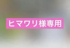 ポケモンセンター　ビンゴラリー　風船