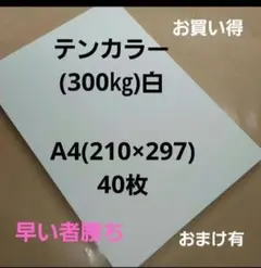 テンカラー(300㎏)白、A4. 40枚、用途は色々‼️早い者勝ち‼️