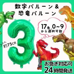 24h以内発送★ナンバーバルーン 数字 誕生日 32インチ　フォト