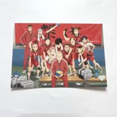 ハイキュー　入場者プレゼント　第2弾　特典　音駒高校最後の集合写真