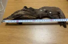 流木2個セット