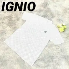 Item thumbnail for item a3afb0a9-584a-41ae-ac70-0cb5648478fd