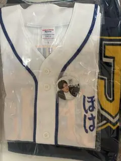 Item thumbnail for item ee1fc5de-2d6a-4312-9a7d-0383eca615a4