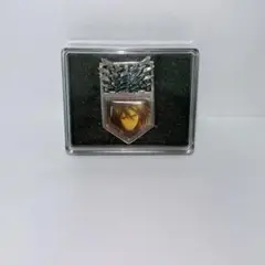 進撃の巨人　ピンズコレクション　ミカサ