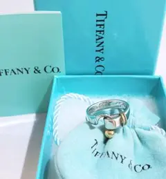 TIFFANY ティファニー フック&アイ リング 指輪 約9号 925・750