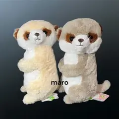 こっちむいてミーアちゃんJB みーあ すくちゃん