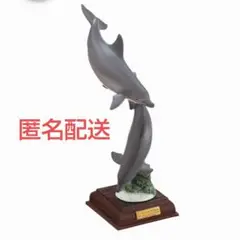 小笠原　特装版　ミナミハンドウイルカ